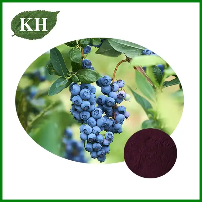 Blueberry Juice Powder — ZAC Biotech Co., Ltd.